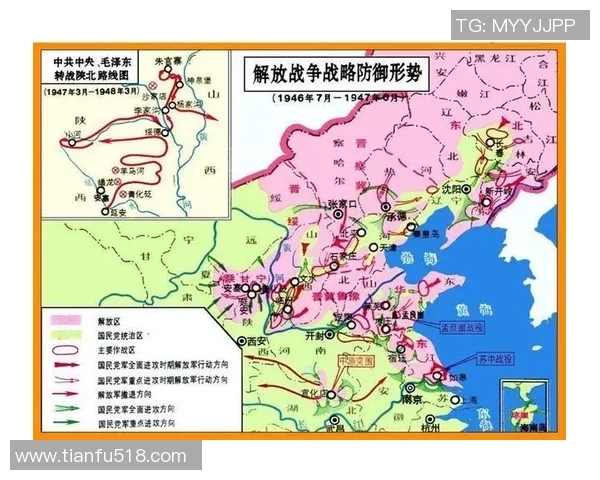 杭州排球队防守策略解析与实战表现的深度剖析